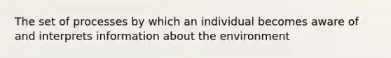 The set of processes by which an individual becomes aware of and interprets information about the environment