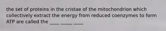 the set of proteins in the cristae of the mitochondrion which collectively extract the energy from reduced coenzymes to form ATP are called the ____ _____ ____