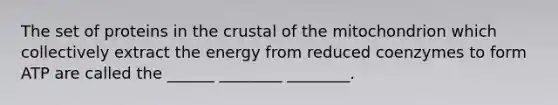 The set of proteins in the crustal of the mitochondrion which collectively extract the energy from reduced coenzymes to form ATP are called the ______ ________ ________.