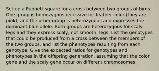 Set up a Punnett square for a cross between two groups of birds. One group is homozygous recessive for feather color (they are pink), and the other group is heterozygous and expresses the dominant blue allele. Both groups are heterozygous for scaly legs and they express scaly, not smooth, legs. List the genotypes that could be produced from a cross between the members of the two groups, and list the phenotypes resulting from each genotype. Give the expected ratios for genotypes and phenotypes in the offspring generation, assuming that the color gene and the scaly gene occur on different chromosomes.