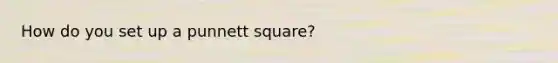 How do you set up a punnett square?