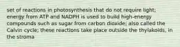 set of reactions in photosynthesis that do not require light; energy from ATP and NADPH is used to build high-energy compounds such as sugar from carbon dioxide; also called the Calvin cycle; these reactions take place outside the thylakoids, in the stroma