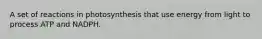 A set of reactions in photosynthesis that use energy from light to process ATP and NADPH.