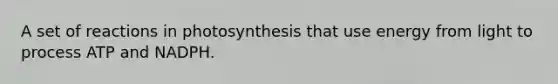 A set of reactions in photosynthesis that use energy from light to process ATP and NADPH.