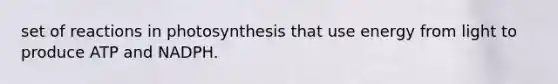 set of reactions in photosynthesis that use energy from light to produce ATP and NADPH.