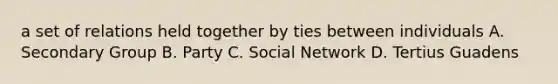 a set of relations held together by ties between individuals A. Secondary Group B. Party C. Social Network D. Tertius Guadens