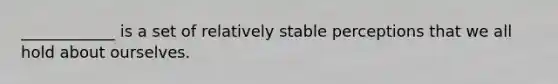 ____________ is a set of relatively stable perceptions that we all hold about ourselves.