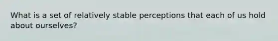 What is a set of relatively stable perceptions that each of us hold about ourselves?