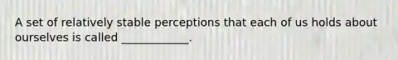 A set of relatively stable perceptions that each of us holds about ourselves is called ____________.