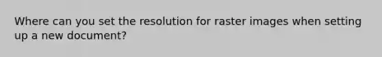 Where can you set the resolution for raster images when setting up a new document?