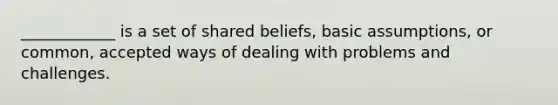 ____________ is a set of shared beliefs, basic assumptions, or common, accepted ways of dealing with problems and challenges.