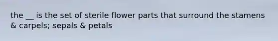 the __ is the set of sterile flower parts that surround the stamens & carpels; sepals & petals