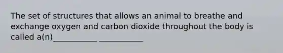 The set of structures that allows an animal to breathe and exchange oxygen and carbon dioxide throughout the body is called a(n)___________ ___________