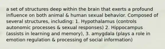 a set of structures deep within the brain that exerts a profound influence on both animal & human sexual behavior. Composed of several structures, including: 1. Hypothalamus (controls autonomic processes & sexual responses) 2. Hippocampus (assists in learning and memory), 3. amygdala (plays a role in emotion regulation & processing of social information)