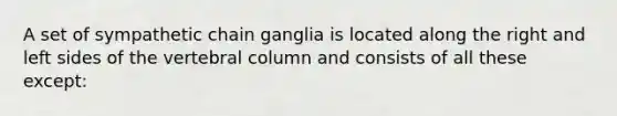 A set of sympathetic chain ganglia is located along the right and left sides of the vertebral column and consists of all these except: