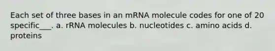 Each set of three bases in an mRNA molecule codes for one of 20 specific___. a. rRNA molecules b. nucleotides c. <a href='https://www.questionai.com/knowledge/k9gb720LCl-amino-acids' class='anchor-knowledge'>amino acids</a> d. proteins