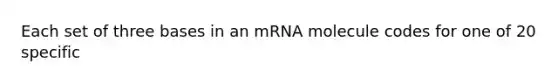 Each set of three bases in an mRNA molecule codes for one of 20 specific