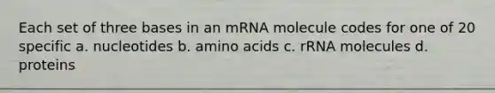 Each set of three bases in an mRNA molecule codes for one of 20 specific a. nucleotides b. amino acids c. rRNA molecules d. proteins