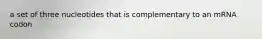 a set of three nucleotides that is complementary to an mRNA codon