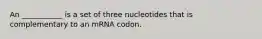 An ___________ is a set of three nucleotides that is complementary to an mRNA codon.