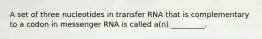 A set of three nucleotides in transfer RNA that is complementary to a codon in messenger RNA is called a(n) _________.