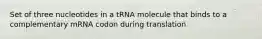 Set of three nucleotides in a tRNA molecule that binds to a complementary mRNA codon during translation