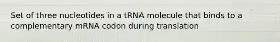 Set of three nucleotides in a tRNA molecule that binds to a complementary mRNA codon during translation