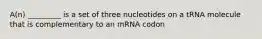 A(n) _________ is a set of three nucleotides on a tRNA molecule that is complementary to an mRNA codon