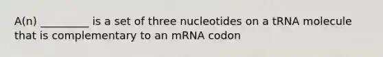 A(n) _________ is a set of three nucleotides on a tRNA molecule that is complementary to an mRNA codon