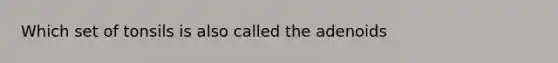 Which set of tonsils is also called the adenoids