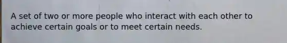 A set of two or more people who interact with each other to achieve certain goals or to meet certain needs.