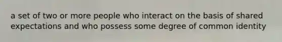 a set of two or more people who interact on the basis of shared expectations and who possess some degree of common identity