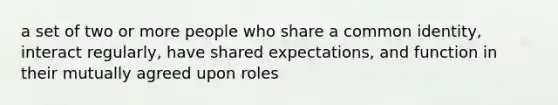 a set of two or more people who share a common identity, interact regularly, have shared expectations, and function in their mutually agreed upon roles