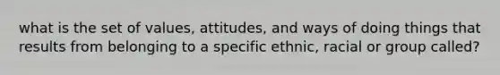 what is the set of values, attitudes, and ways of doing things that results from belonging to a specific ethnic, racial or group called?