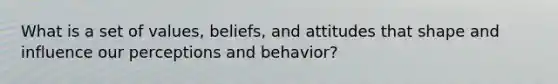 What is a set of values, beliefs, and attitudes that shape and influence our perceptions and behavior?