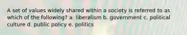 A set of values widely shared within a society is referred to as which of the following? a. liberalism b. government c. political culture d. public policy e. politics