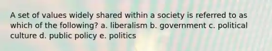 A set of values widely shared within a society is referred to as which of the following? a. liberalism b. government c. political culture d. public policy e. politics