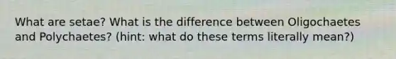 What are setae? What is the difference between Oligochaetes and Polychaetes? (hint: what do these terms literally mean?)