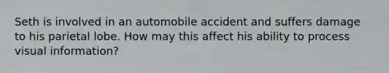 Seth is involved in an automobile accident and suffers damage to his parietal lobe. How may this affect his ability to process visual information?