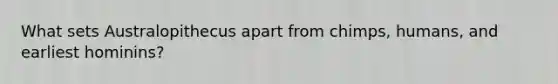 What sets Australopithecus apart from chimps, humans, and earliest hominins?