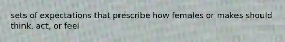 sets of expectations that prescribe how females or makes should think, act, or feel