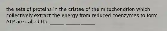 the sets of proteins in the cristae of the mitochondrion which collectively extract the energy from reduced coenzymes to form ATP are called the ______ ______ ______