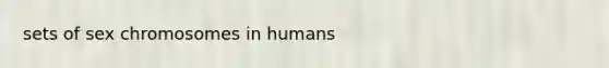 sets of sex chromosomes in humans