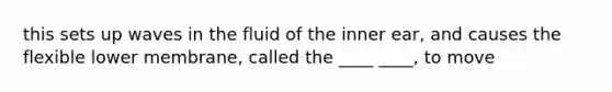 this sets up waves in the fluid of the inner ear, and causes the flexible lower membrane, called the ____ ____, to move