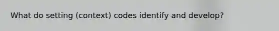 What do setting (context) codes identify and develop?