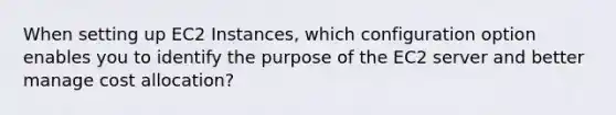 When setting up EC2 Instances, which configuration option enables you to identify the purpose of the EC2 server and better manage cost allocation?