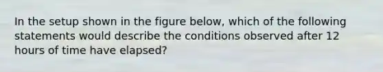 In the setup shown in the figure below, which of the following statements would describe the conditions observed after 12 hours of time have elapsed?