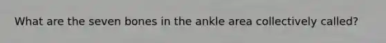 What are the seven bones in the ankle area collectively called?