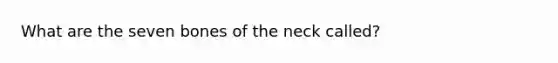 What are the seven bones of the neck called?