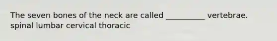 The seven bones of the neck are called __________ vertebrae. spinal lumbar cervical thoracic